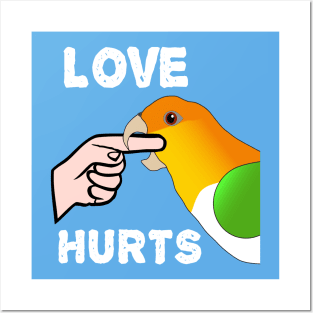 White Bellied Caique Parrot - Love Hurts Biting Posters and Art